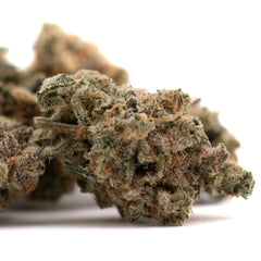 Blue Dream #2 Indoor THCa Flower - Plants