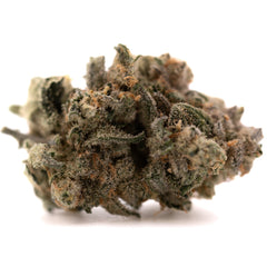 Blue Dream #2 Indoor THCa Flower - Plants