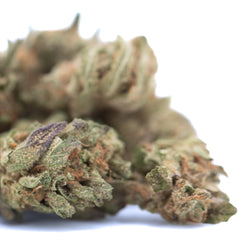 Blue Dream THCa Hemp Flower Greenhouse Smalls
