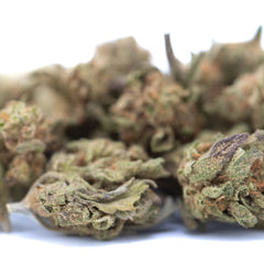 Blue Dream THCa Hemp Flower Greenhouse Smalls