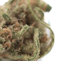 Blue Dream THCa Hemp Flower Greenhouse Smalls