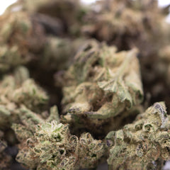 Blue Sugar THCa Hemp Flower Greenhouse Smalls
