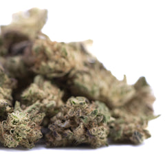 Blue Sugar THCa Hemp Flower Greenhouse Smalls