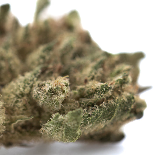 Blue Sugar THCa Hemp Flower Greenhouse Smalls