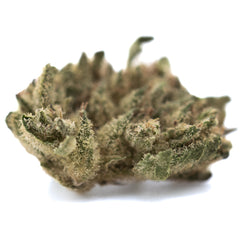 Blue Sugar THCa Hemp Flower Greenhouse Smalls
