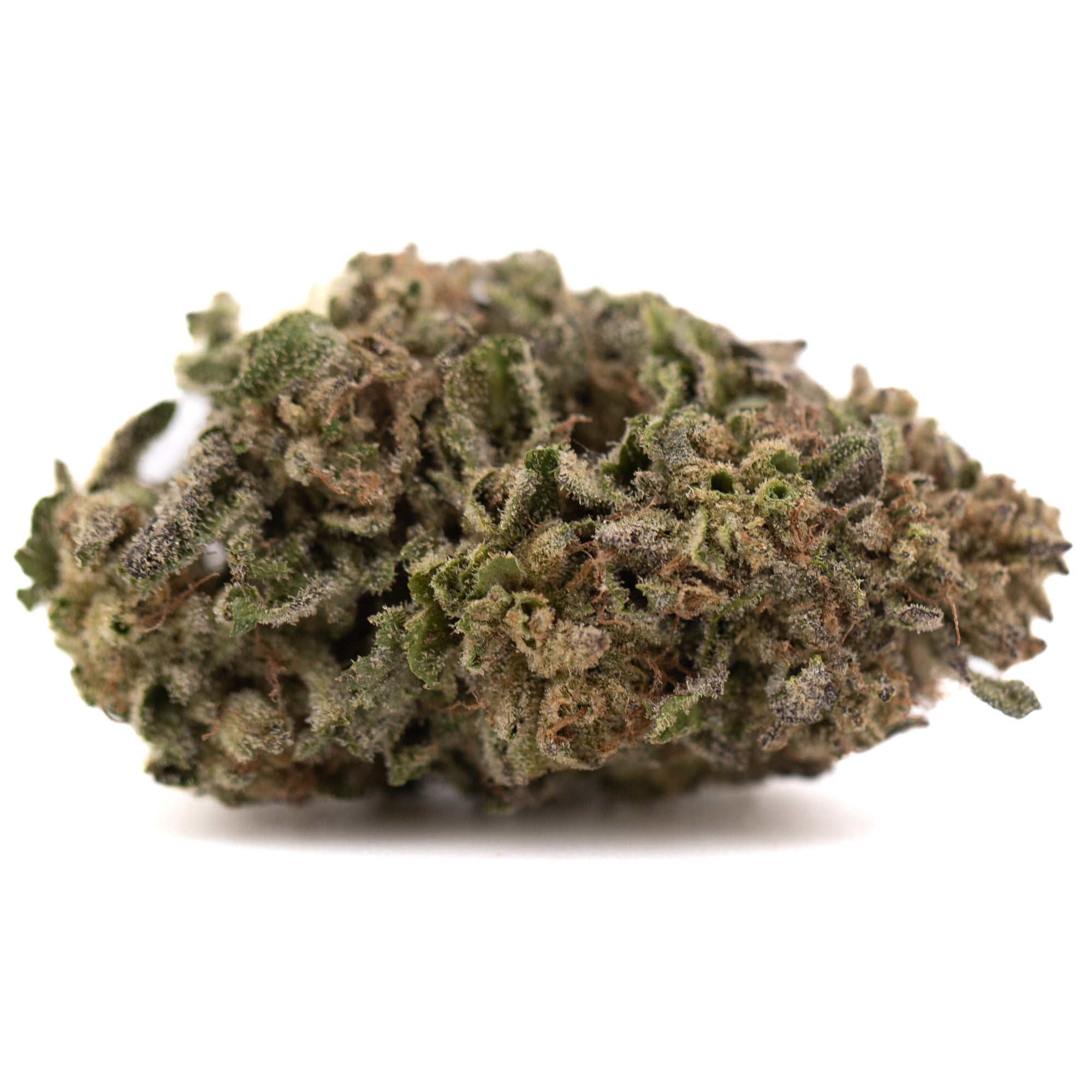 Bolor Tartz THCa Hemp Flower Greenhouse