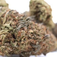 Bubba Kush CBD Full-Term Hemp Flower Wholesale