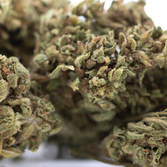 Bubba Kush CBD Hemp Flower Full-Term #2