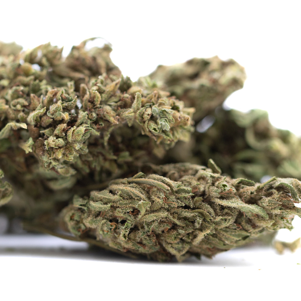 Bubba Kush CBD Hemp Flower Full-Term #2 Wholesale