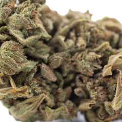 Bubba Kush CBD Hemp Flower Full-Term #2 Wholesale
