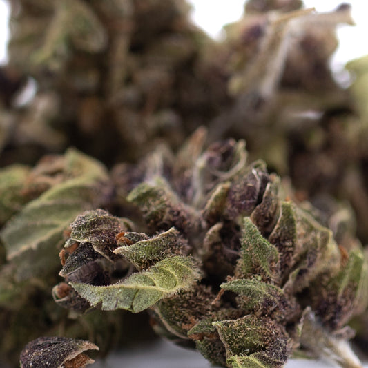 Bubba Kush CBD Hemp Flower Full-Term #2 Smalls Wholesale