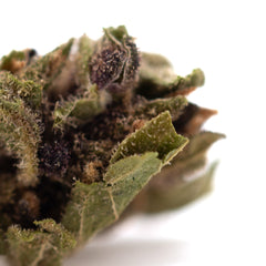 Bubba Kush CBD Hemp Flower Full-Term #2 Smalls Wholesale