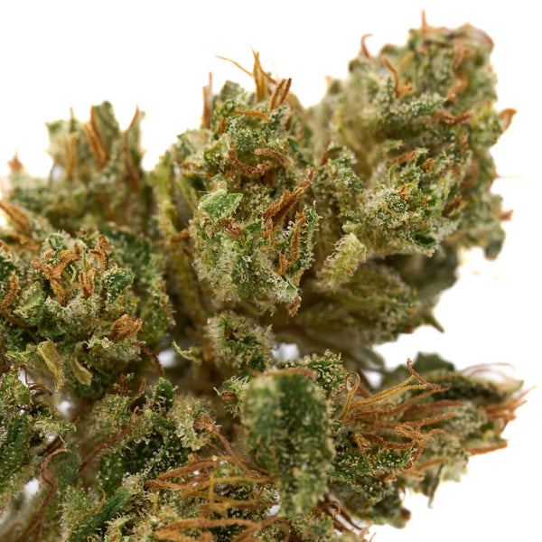 What Is Cannabis Tolerance?