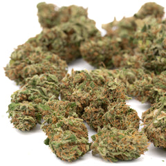 Bubble Gum CBD Hemp Flower Full-Term Smalls Wholesale