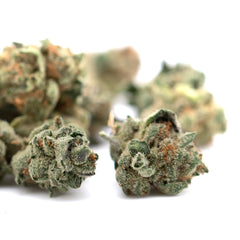 Butter OG Indoor THCa Flower Smalls - Plants