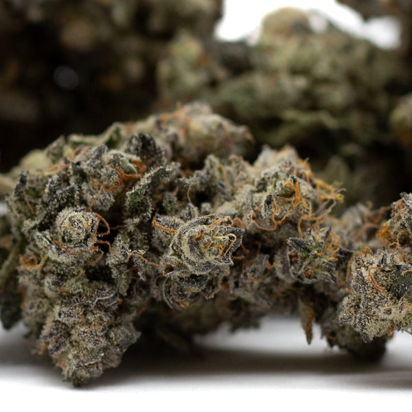 Butter OG vs Highlighter THCa Flower