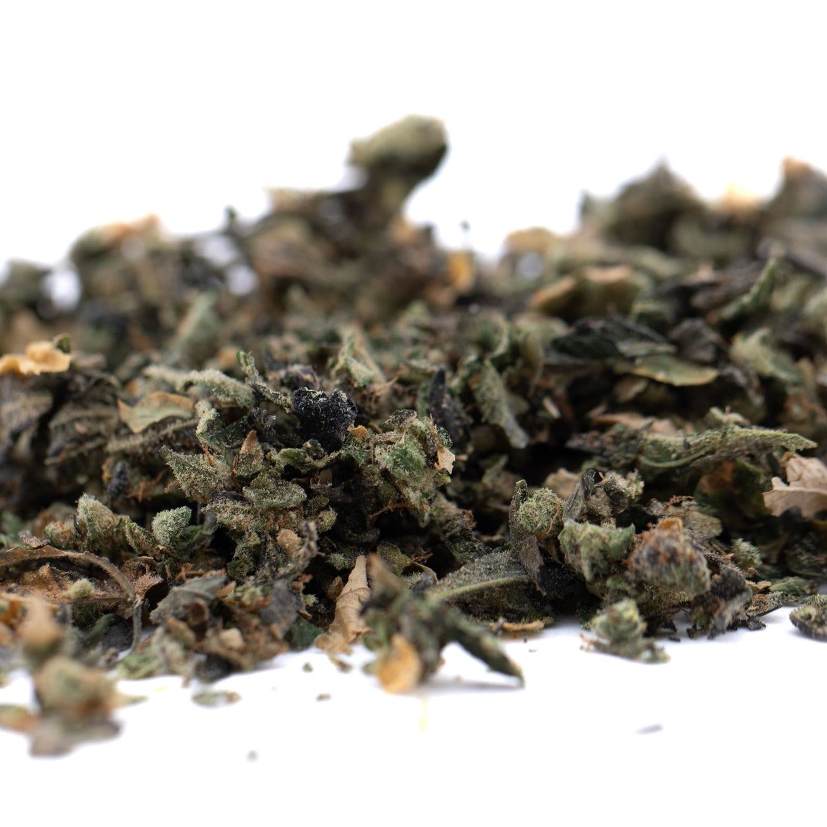 Butter OG Indoor Trim Wholesale 1LB - 1 LB - Plants