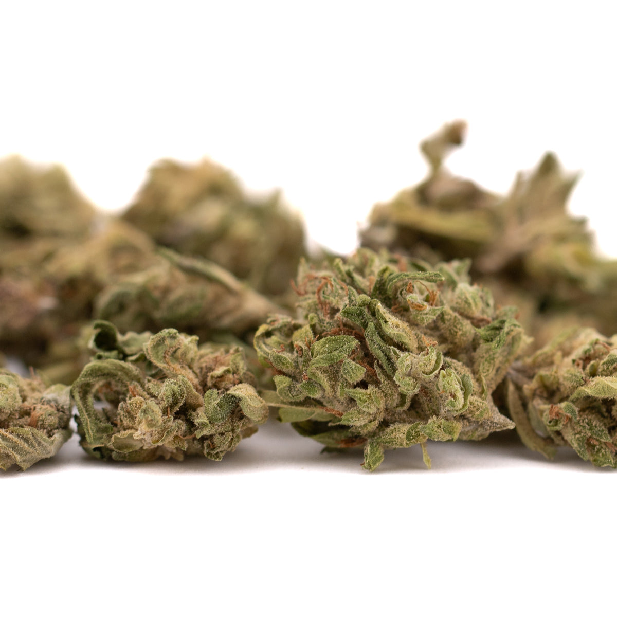CBG Hemp Flower Smalls - Plants