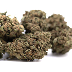 Canal Street Runtz THCa Hemp Flower Greenhouse