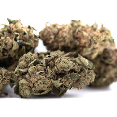 Canal Street Runtz THCa Hemp Flower Greenhouse