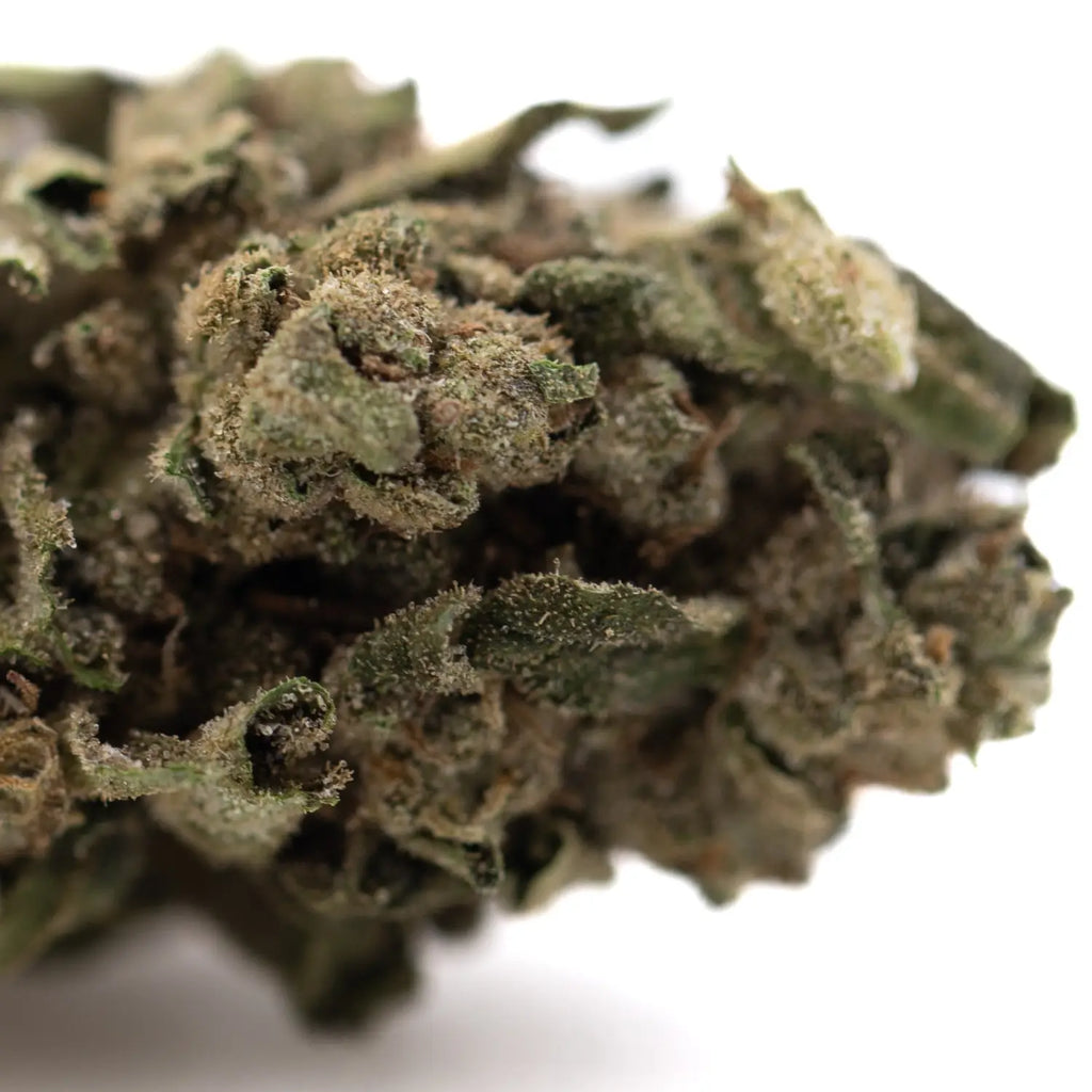 What Wholesale Options Does High THCA Hemp Flower