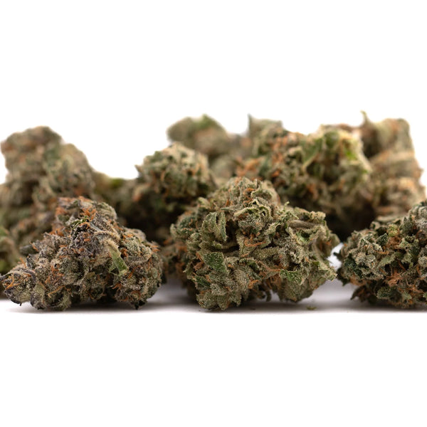 Money Ball vs Canal Street Runtz THCa Flower