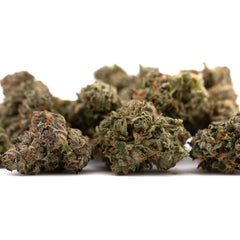 Canal Street Runtz Indoor THCa Flower - Plants