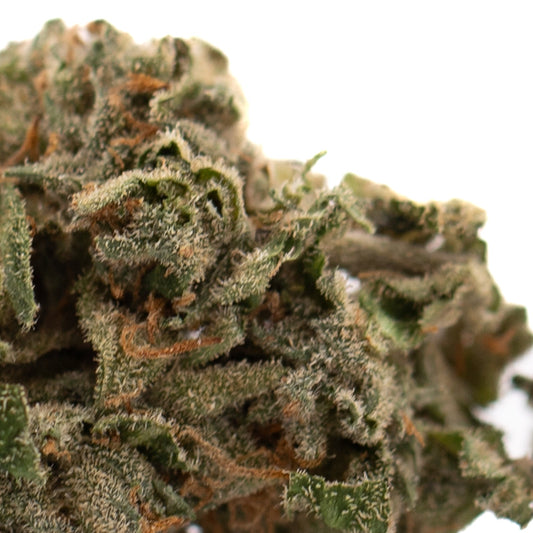 Canal Street Runtz Indoor THCa Flower - Plants