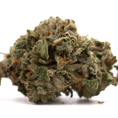 Canal Street Runtz Indoor THCa Flower - Plants