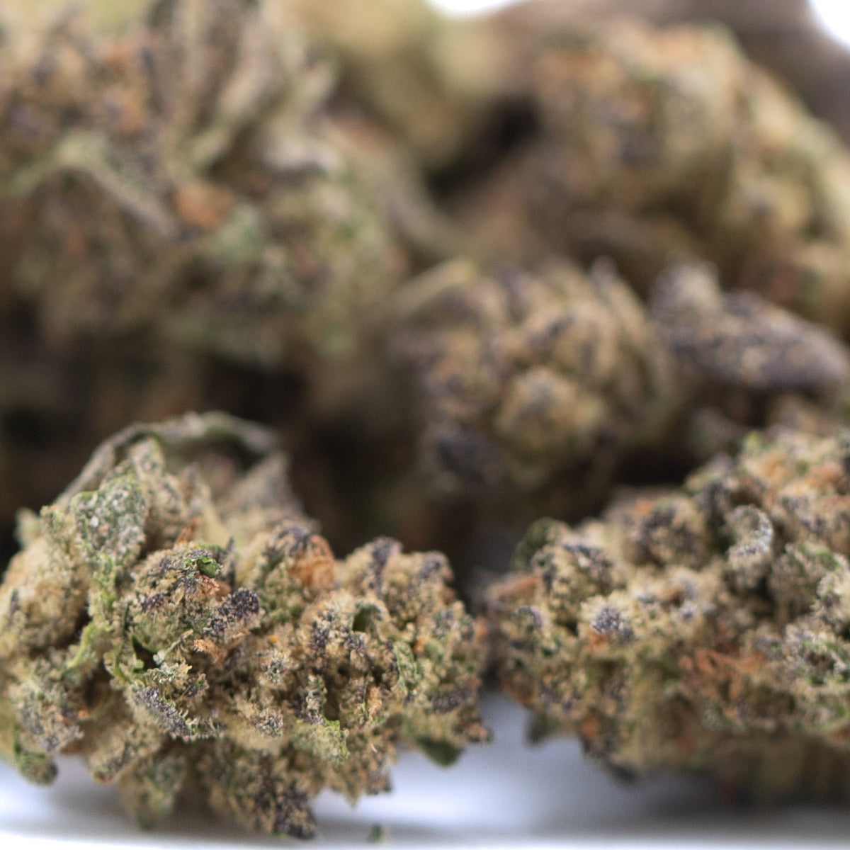 Canal Street Runtz THCa Hemp Flower Greenhouse Smalls