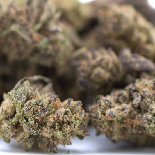 Canal Street Runtz THCa Hemp Flower Greenhouse Smalls