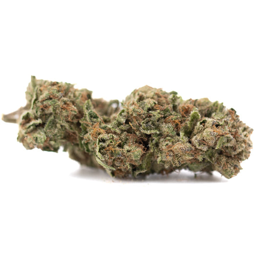 Candy Pave THCa Hemp Flower Greenhouse - Plants