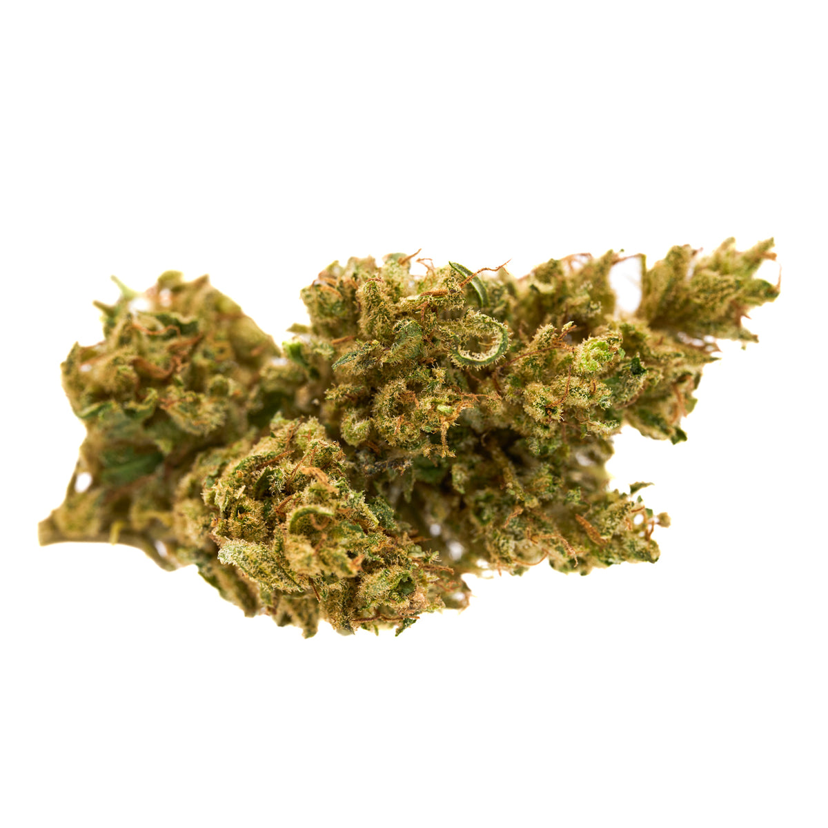 Chemberry CBD Hemp Flower - Plants