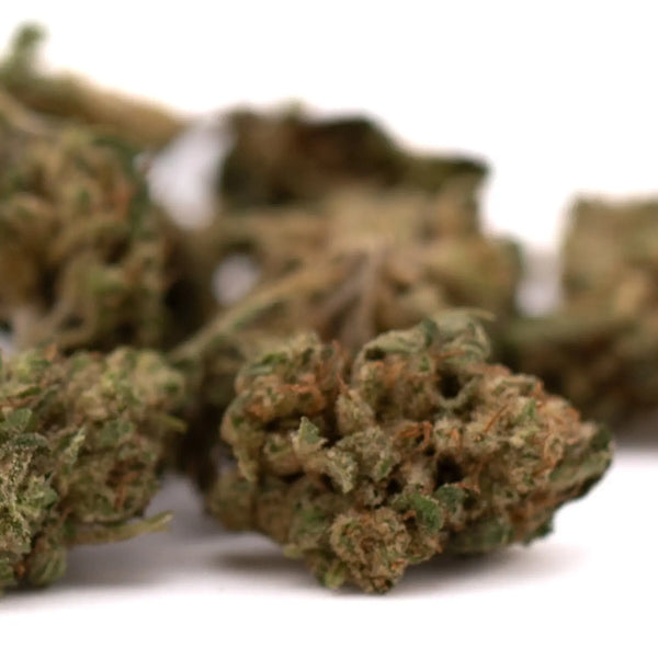 How Weather Affects CBD Flower Harvest