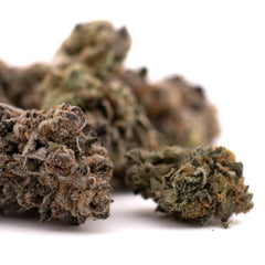 Cherry Pie THCa Indoor Flower - Plants