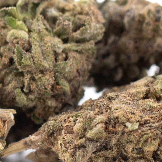 Cherry Truffle THCa Hemp Flower Greenhouse Wholesale