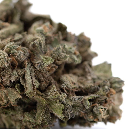 Cream Caramel THCa Flower Full-Term