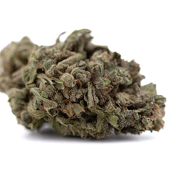 Cream Caramel THCa Flower Full-Term