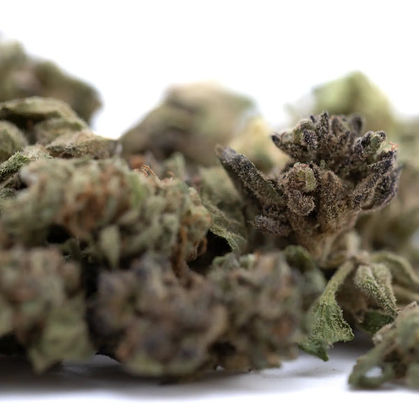 Jelly Mints THCA Flower vs Cream Caramel