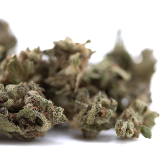 Cream Caramel THCa Flower Smalls Full-Term