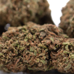 Critical Berries CBD Full-Term Hemp Flower