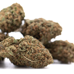 Critical Berries CBD Full-Term Hemp Flower