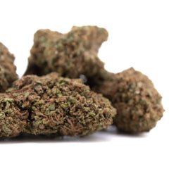Critical Berries CBD Full-Term Hemp Flower