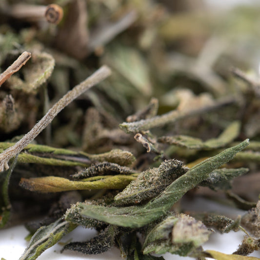 Daily Grape Greenhouse THCa Trim Wholesale