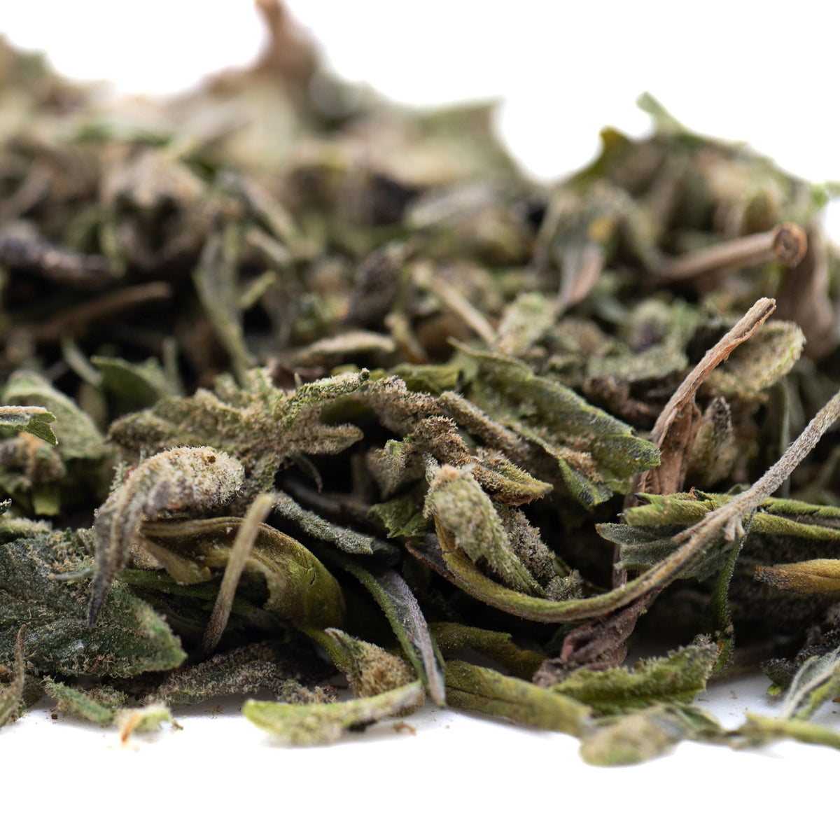 Daily Grape Greenhouse THCa Trim Wholesale