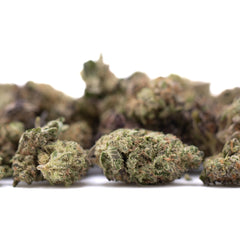 Daily Grape THCa Hemp Flower Greenhouse Smalls