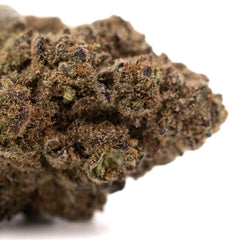 Zonkers THCa Hemp Flower Greenhouse Wholesale