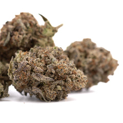 Dough Boy THCa Hemp Flower Greenhouse Wholesale