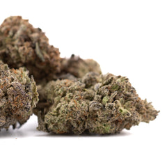 Dough Boy THCa Hemp Flower Greenhouse