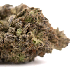 Dough Boy THCa Hemp Flower Greenhouse Wholesale